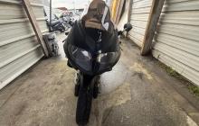 TRIUMPH DAYTONA 955